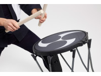 roland-taiko-1_622b6d764fe4c.jpg