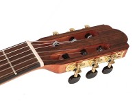 salvador-cs-244-ce-pack_5faacf9dbff8a.jpg
