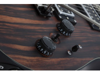 schecter-c-1-exotic-ebony-ns_62260100ccbdb.jpg
