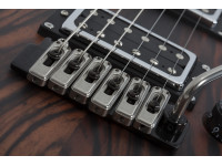 schecter-c-1-exotic-ebony-ns_62260108164e4.jpg