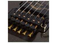 schecter-c-1-fr-s-50th-anniversary_69bd6f0dbed11.jpg
