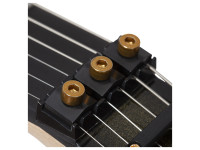 schecter-c-1-fr-s-50th-anniversary_69bd6f1a7297b.jpg