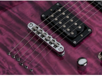 schecter-c-6-plus-em_6220cf24add86.jpg