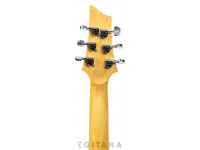 schecter-c-6-plus-vintage-sunburst_612751c9305bb.jpg