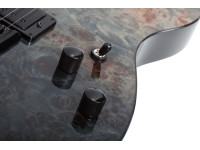 schecter-pt-standard-burl-black-fade-burst_6a4cd381a9777.jpg