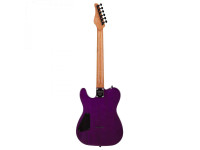 schecter-pt-standard-purple-burst-burl_67b49b7928b46.jpg