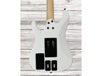 schecter-sun-valley-super-shredder-frs_65e0a2a016f26.jpg