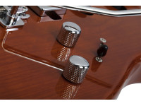 schecter-traditional-van-nuys_62260f8d68959.jpg