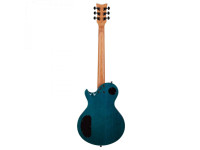 schecter_67b4a21808774.jpg