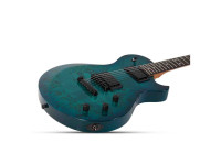 schecter_67b4a21f594ad.jpg