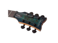 schecter_67b4a221a6860.jpg
