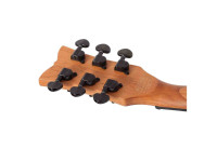 schecter_67b4a2240dd80.jpg