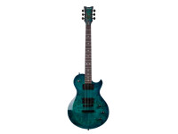 schecter_67b4a22658516.jpg