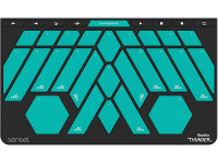 sensel-buchla-thunder-overlay_602aa6d4056bb.jpg