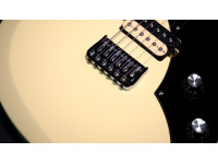 shergold-provocateur-standard-sp12-dirty-blonde_6915c29b6b35e.jpg