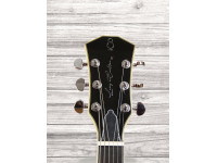 sire-larry-carlton-h7-str_609bb34bd2e71.jpg