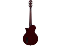 sire-larry-carlton-l3-p90-gold-top_67bc915e9d5a1.jpg