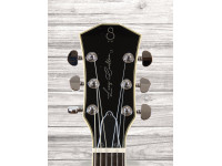 sire-larry-carlton-l7-gdt_60a24d064482e.jpg