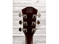 sire-larry-carlton-l7-gdt_60a24d0a2c7e4.jpg