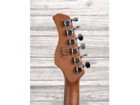 sire-larry-carlton-s7-sg_6093d4e1e2cbb.jpg