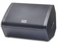 solton-monitor-palco-passivo-mf-300-lacquer_595538.jpg