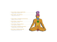 sonic-energy-tf-set-cha-7-tuning-fork-chakra-set-7-pcs_652d409bb906d.jpg