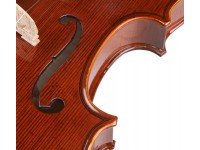 stentor-conservatorio-3-4_58e3a014d1c74.jpg