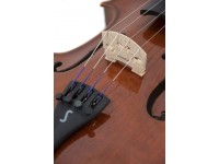 stentor-conservatorio-4-4_5f71b6b42cca3.jpg