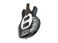 sterling-stingray-ray34-hh-m-r-charcoal-frost_67ab3eafdbecc.jpg