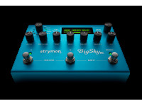strymon-big-sky-mx-dual-engine-reverb_66607c36815e0.jpg