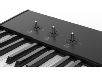 studiologic-sl73-studio_5c94f0a65fb53.jpg