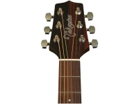 takamine-gd20ce-n_5fce358826930.jpg