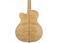 takamine-gj72ce-nat_5b3e3d2d7323b.jpg