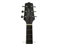 takamine-gn20ce-n_61138c31c42b6.jpg