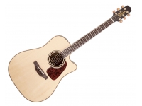 takamine-p4dc_5b3f27b33aa95.jpg