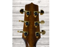 takamine-p5dc_5f05a787b6a95.jpg