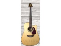 takamine-p5dc_5f05a841eb789.jpg