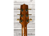 takamine-p5dc_635fea621c9c7.jpg