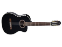 takamine_67063d9a3eb8d.jpg