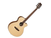 tanglewood-dbt-sfce-bw_5addb8de0165e.jpg