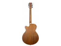 tanglewood-dbt-sfce-ov_601151711e732.jpg