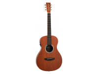 tanglewood-elemental-te8ebl_690b7c957ef98.jpg