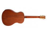 tanglewood-elemental-te8ebl_690b7c9716ec9.jpg