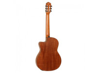 tanglewood-em-dc1_61af85add01cf.jpg