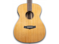 tanglewood-java-exotic-twjfe_601141fe1692c.jpg