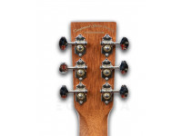 tanglewood-java-exotic-twjfe_601141feee264.jpg