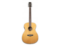 tanglewood-java-exotic-twjfe_6011420098adf.jpg