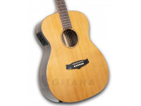 tanglewood-java-exotic-twjfe_6011420179ac1.jpg