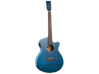 tanglewood-ta4cebl_6617ba0e3fec4.jpg