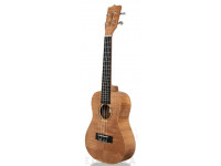 tanglewood-tiare-twt-6_605dc65a4f582.jpg